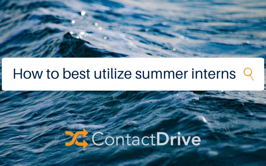 Harnessing the Power of Summer Interns
